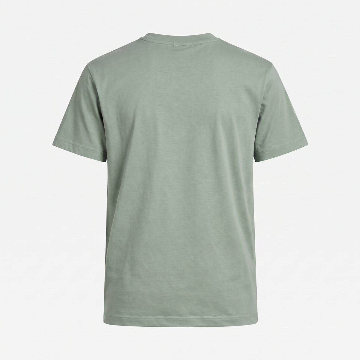 Tegernsee Lachs T-Shirt Salbei – Rückseite